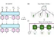 Evidence that the QAOA Optimizes the Sherrington-Kirkpatrick Model Efficiently in the Average Case