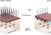 Hitachi Demonstrates Technologies To Scale Up Silicon Quantum Computers