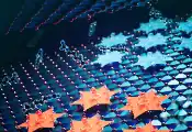UCLA-Led Study Finds Amino Acid Extends Quantum Properties Above Room Temperature
