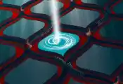 Hybrid Quantum Computer Observes Foundational Quantum Effect in a New Setting