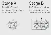 What It Means To Put a Quantum Roadmap to the Test