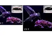 “Image Quality Remains Intact Even When Stretched Like a Rubber Band”: DGIST Develops World’s Brightest “Stretchable Quantum Dot Display”