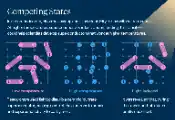 Experiment Reveals Quantum Tug-of-War Limiting Higher-Temperature Superconductivity